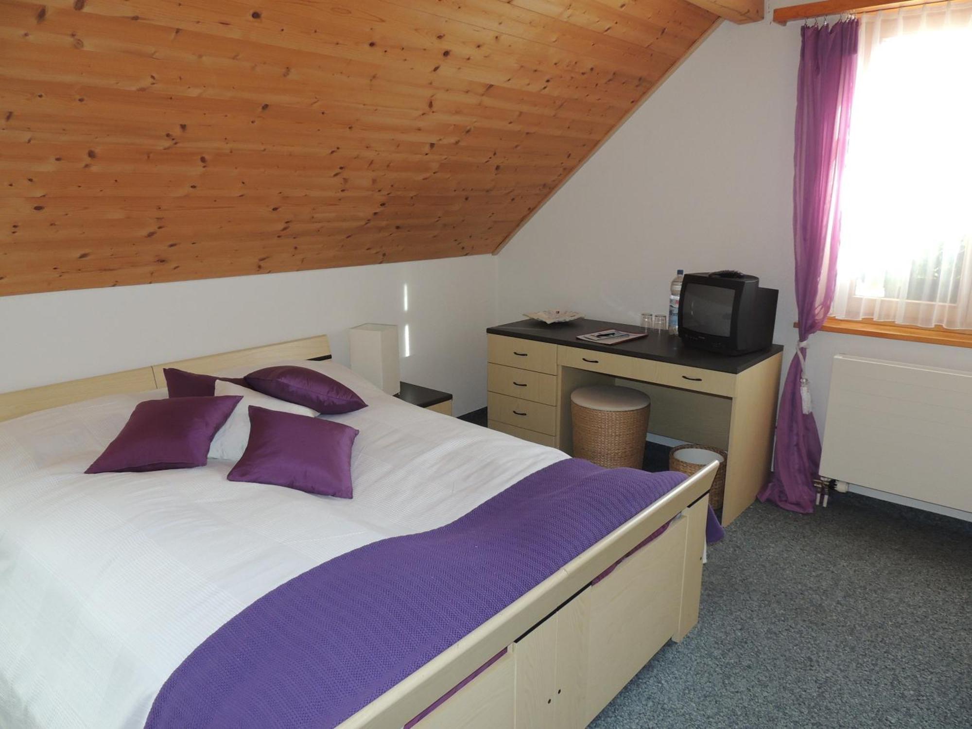 Hotel Bz Sunnahof Obersaxen Rum bild